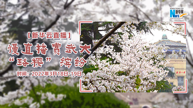 BBINӯֱֱ“ӣ”ͷ
