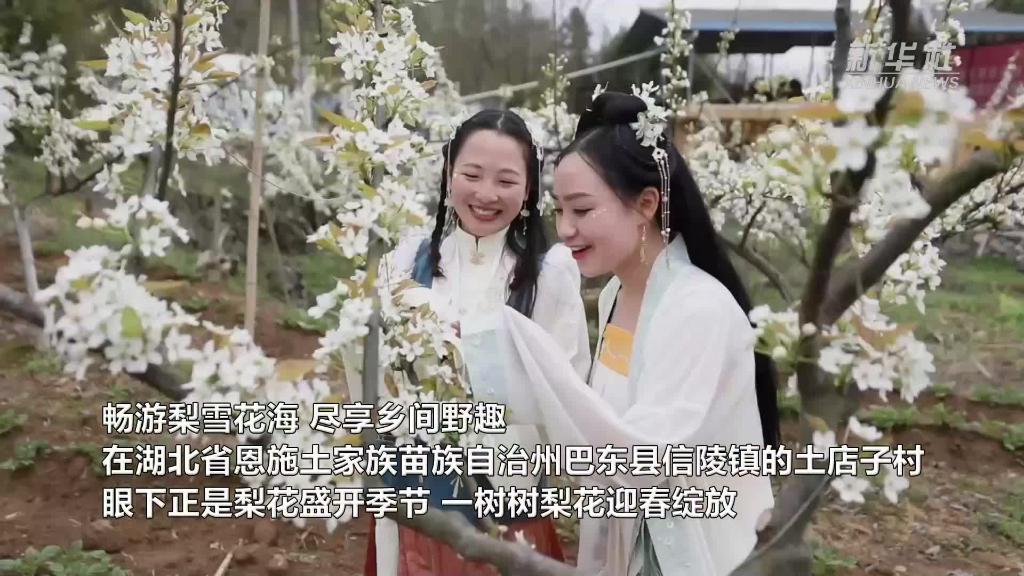 Ͷ滨
