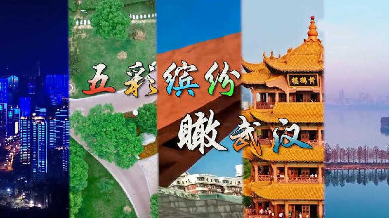 70룡ͷ人